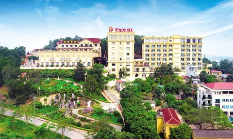 Tập đoàn quốc tế Phượng Hoàng: Tự tin, kiến tạo khát vọng vươn xa trong Kỷ nguyên vươn mình của dân tộc