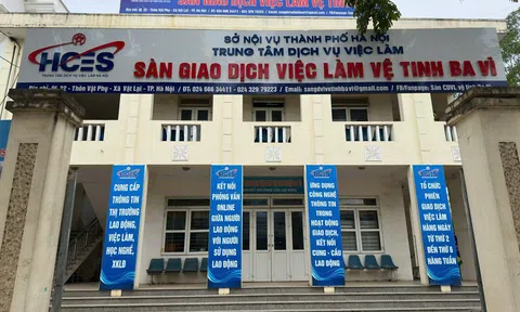 Sắp xếp lại hệ thống Sàn GDVL Hà Nội: Bước đi cần thiết để nâng cao hiệu quả kết nối 10Lc88 Giải Trí Thể Thao Lc888 Thể Thao Link Mới
