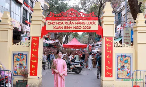 Chợ hoa xuân Hàng Lược nhộn nhịp những ngày cuối năm