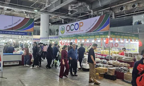 Quảng Ninh: Hội chợ OCOP và Ẩm thực Xuân 2026 – Kích cầu tiêu dùng, lan tỏa giá trị sản phẩm xanh