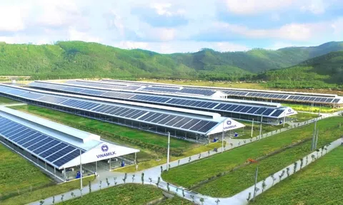 Chuỗi cung ứng thực phẩm xanh: Cơ sở cho phát triển bền vững
