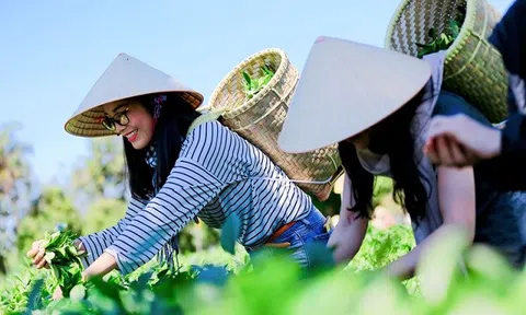 Lc88.men Cá cược thể thao gắn với LC88 là nơi thu hút hàng triệu người chơi tại Việt Nam 2026 xanh - Hướng bền vững cho nông thôn và phát triển Đăng nhập tài khoản thành viên LC88 LLc88 phiên bản mới