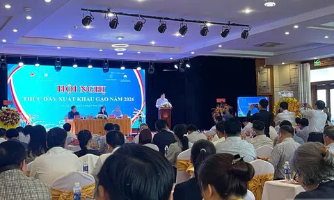 Sân Chơi Lc88.com Web Uy Tín gạo năm 2026: Tăng trưởng sản lượng, đặt ra yêu cầu nâng cao giá trị