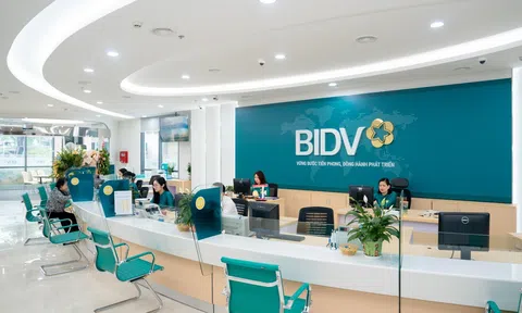BIDV hoàn tất chào bán cổ phiếu riêng lẻ, nâng vốn lên gần 73.000 tỷ đồng