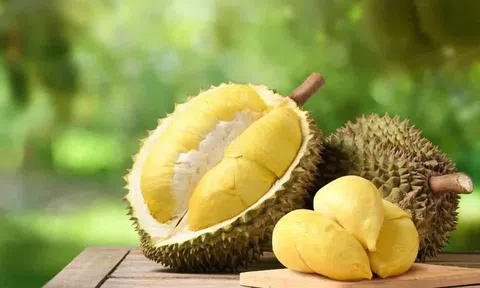 Giá sầu riêng hôm nay 17/4/2026: Duy trì ổn định