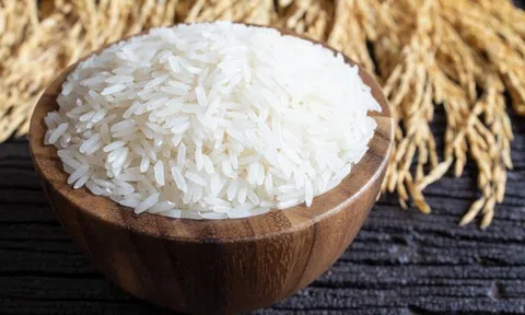 Giá lúa gạo hôm nay 18/4/2026: Giá gạo Sân Chơi Lc88.com Web Uy Tín tăng