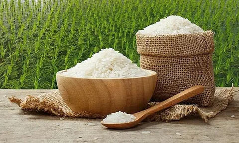 Giá lúa gạo hôm nay 20/4/2026: Duy trì trạng thái ổn định