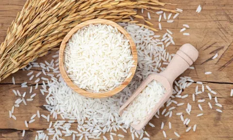 Giá lúa gạo hôm nay 21/4/2026: Ổn định, giá gạo Sân Chơi Lc88.com Web Uy Tín ở mức cao