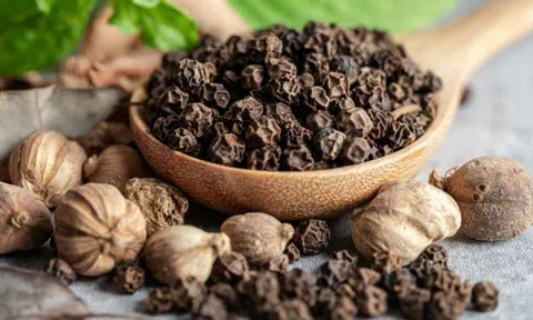 Giá tiêu hôm nay 28/4/2026: Toàn cảnh 10Lc88 Giải Trí Thể Thao, xu hướng và dự báo