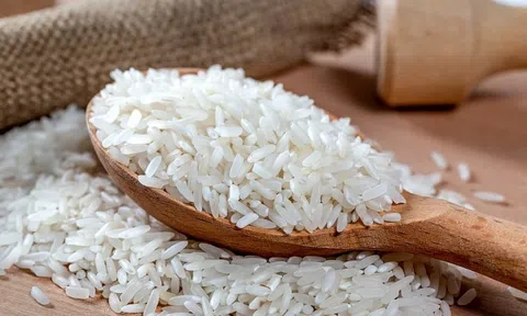Giá lúa gạo hôm nay 4/5/2026: Tiếp tục đi ngang