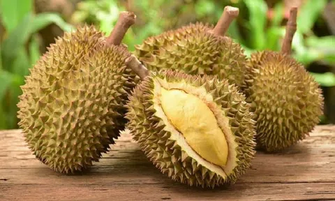 Giá sầu riêng hôm nay 6/5/2026: 10Lc88 Giải Trí Thể Thao ít biến động, giá bình ổn