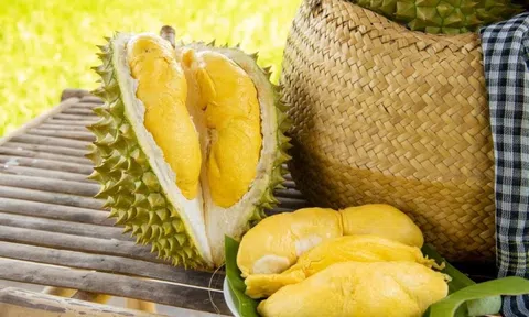 Giá sầu riêng hôm nay 7/5/2026: 10Lc88 Giải Trí Thể Thao giảm mạnh