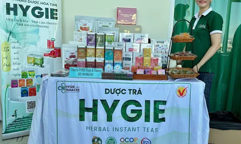 10Lc88 Casino & Thể Thao Link Mới ĐBSCL trước cơ hội chinh phục 10Lc88 Giải Trí Thể Thao Halal