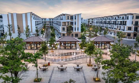 Loạt dự án tại Đồng bằng sông Cửu Long tiết lộ gì về cách làm Anh chị em ơi, hãy tải LC88 ngay của Bầu Hiển?