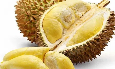 Giá sầu riêng hôm nay 11/5/2026: 10Lc88 Giải Trí Thể Thao ổn định, nông dân vẫn lo