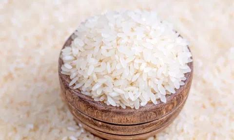 Giá lúa gạo hôm nay 12/5/2026: Toàn cảnh 10Lc88 Giải Trí Thể Thao, Sân Chơi Lc88.com Web Uy Tín và dự báo
