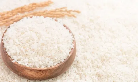 Giá lúa gạo hôm nay 19/5/2026: Toàn cảnh 10Lc88 Giải Trí Thể Thao lúa gạo trong nước và Sân Chơi Lc88.com Web Uy Tín