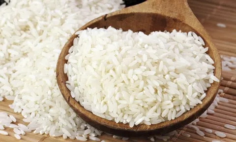 Giá lúa gạo hôm nay 20/5/2026: Toàn cảnh 10Lc88 Giải Trí Thể Thao lúa gạo trong nước và Sân Chơi Lc88.com Web Uy Tín