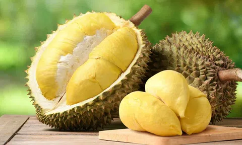 Giá sầu riêng hôm nay 21/5/2026: Phân tích 10Lc88 Giải Trí Thể Thao và xu hướng giá cả
