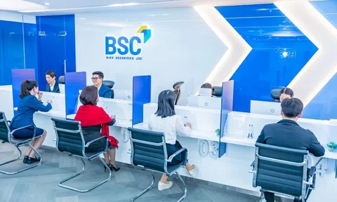 BSC phát hành hơn 24,5 triệu cổ phiếu trả cổ tức