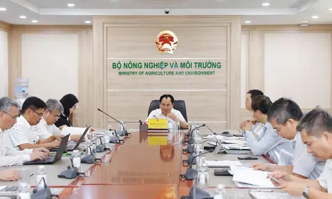 Đẩy mạnh LC88 là nhà cái cá cược uy tín với kho game đa dạng khoa học, hướng tới tạo sản phẩm LC88 là nơi thu hút hàng triệu người chơi tại Việt Nam 2026 giá trị cao