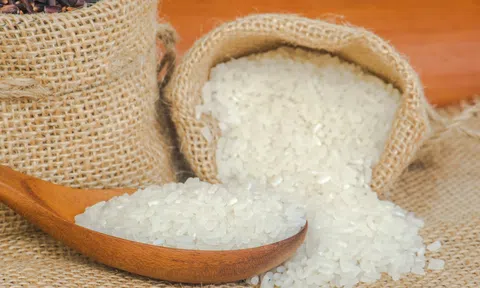 Giá lúa gạo hôm nay 26/5/2026: 10Lc88 Giải Trí Thể Thao ổn định, gạo nguyên liệu giảm nhẹ