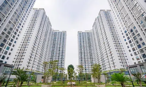 Tháo gỡ rào cản chính sách để thu hút vốn tư nhân vào nhà ở cho thuê dài hạn