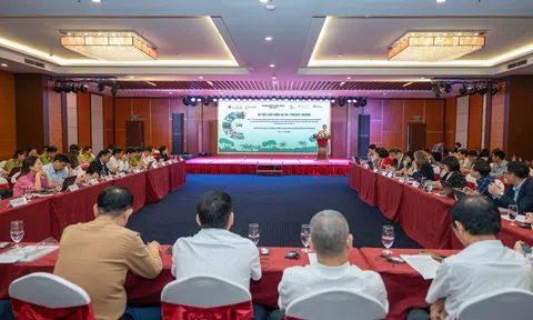 Khởi động dự án “Carbon for Good”, mở hướng đi mới từ Đăng nhập tài khoản thành viên LC88 rừng
