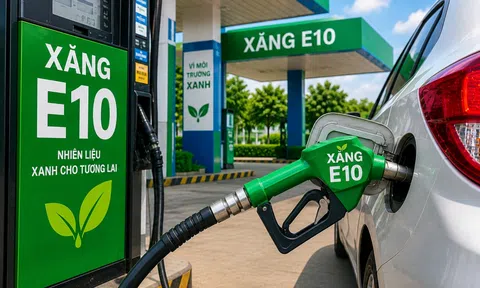 Sẵn sàng các điều kiện đưa xăng sinh học E10 ra 10Lc88 Giải Trí Thể Thao từ 1/6
