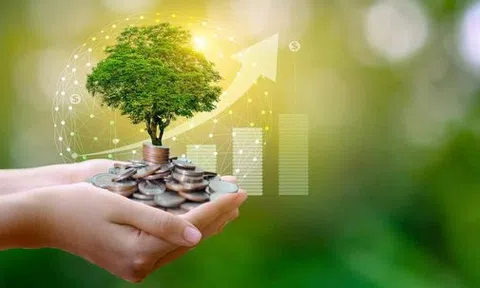 Tìm hiểu mô hình Đăng nhập tài khoản thành viên LC88 xanh