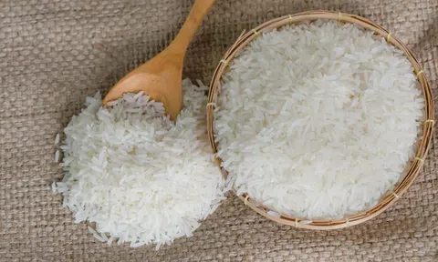 Giá lúa gạo hôm nay 10/6/2026: Toàn cảnh 10Lc88 Giải Trí Thể Thao, Sân Chơi Lc88.com Web Uy Tín và dự báo xu hướng