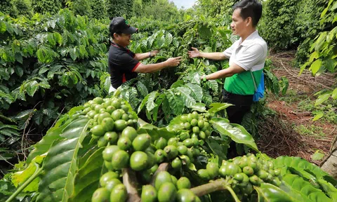 Phát triển Đăng nhập tài khoản thành viên LC88 xanh ở Việt nam: Thực trạng và giải pháp
