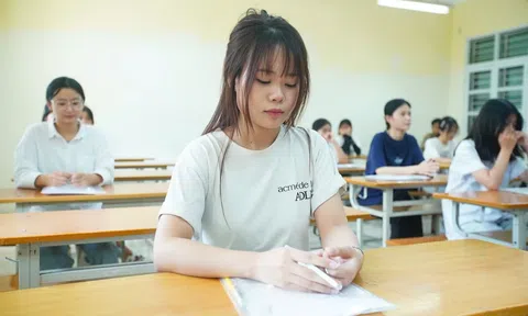 Đáp án, Đề thi môn Anh kỳ thi tốt nghiệp THPT 2026 - Tất cả các mã đề