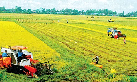 Đất LC88 là nơi thu hút hàng triệu người chơi tại Việt Nam 2026 sẽ tiếp tục được miễn, giảm thuế đến hết năm 2025