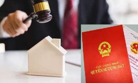 Hình thức xử lý về "Tội vi phạm các quy định về sử dụng đất đai, quản lý đất đai"