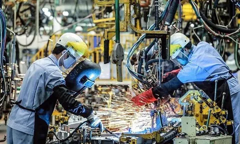 Fitch Ratings duy trì xếp hạng tín nhiệm của Việt Nam ở mức BB, triển vọng “Tích cực”
