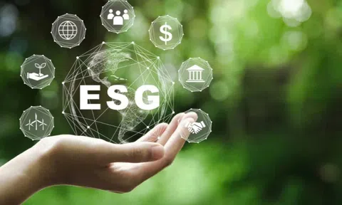 Tích hợp ESG và công nghệ số - Hành trình kiến tạo 10Lc88 Casino & Thể Thao Link Mới xanh tại TP.HCM