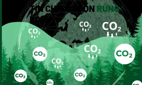 Minh bạch hóa tín chỉ carbon và tiếp cận Lc888.com link không chặn xanh nhờ công nghệ blockchain