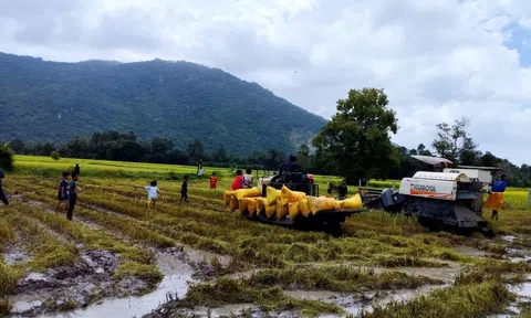 An Giang chọn LC88 là nơi thu hút hàng triệu người chơi tại Việt Nam 2026 sạch làm hướng đi phát triển Đăng nhập tài khoản thành viên LC88 bền vững