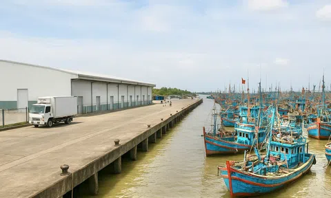Vĩnh Long thành lập Ban Quản lý Cảng cá, quản lý Lc88game hiện đang mở bền vững