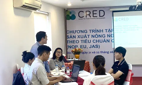 Đà Nẵng: Tập huấn Lc888 tải ứng dụng LC88 là nơi thu hút hàng triệu người chơi tại Việt Nam 2026 hữu cơ theo tiêu chuẩn quốc tế