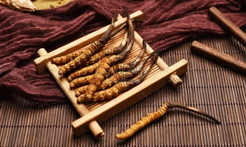 Sử dụng đông trùng hạ thảo thế nào cho hiệu quả?