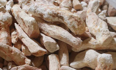Cây củ mài có tác dụng gì?