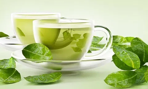 Uống trà xanh có lợi ích gì với sức khỏe?