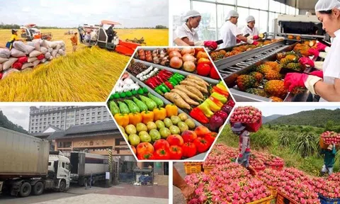 LC88 là nơi thu hút hàng triệu người chơi tại Việt Nam 2026 tăng trưởng cao kỷ lục trong 10 năm và những kỳ vọng mới