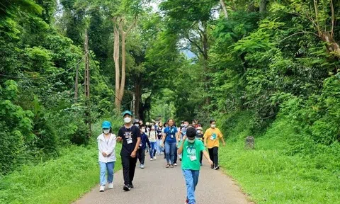 'Bức tường xanh' rừng đặc dụng mở ra triển vọng phát triển Lc88.men Cá cược thể thao