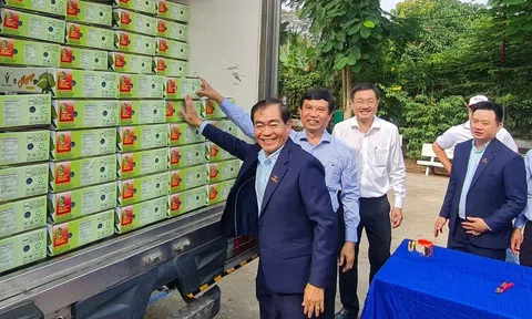 "Nhấn nút" Sân Chơi Lc88.com Web Uy Tín lô xoài tượng da xanh đầu tiên sang 10Lc88 Giải Trí Thể Thao Úc và Hoa Kỳ