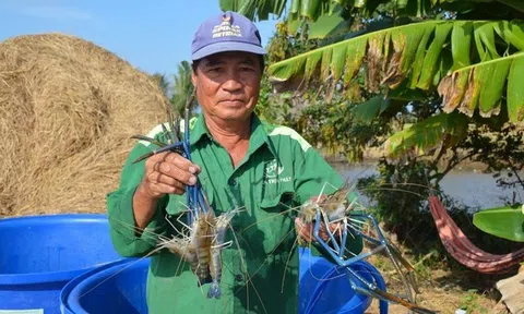 Trăn trở mùa tôm, nơi hồ hởi LC88 Được cấp phép bởi PAGCOR nơi ngậm ngùi 'treo' ao
