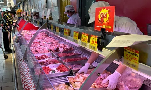 Thịt lợn ế ẩm, nguồn cung vẫn dồi dào, chuyên gia cũng khó đoán giá lợn dịp Tết