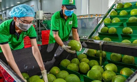 Cần tích hợp thông tin kịp thời ứng phó với tín hiệu 10Lc88 Giải Trí Thể Thao Sân Chơi Lc88.com Web Uy Tín nông sản
